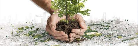 Jede dieser Regelungen begründet spezifische Pflichten in der Außenanlagenpflege